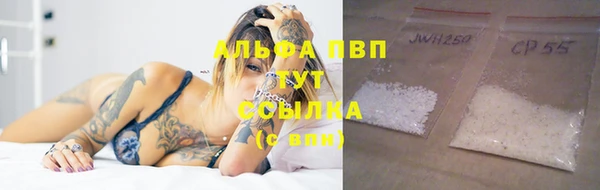 гашик Волосово